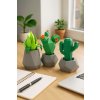 3D puzzle kaktusy z papíru