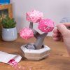 Bonsai Zamilovaných