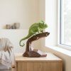 Papírový model Chameleon na stolku u okna