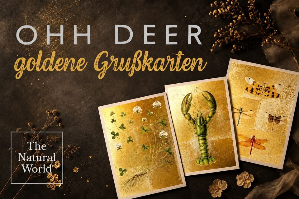 OHH DEER Grußkarten