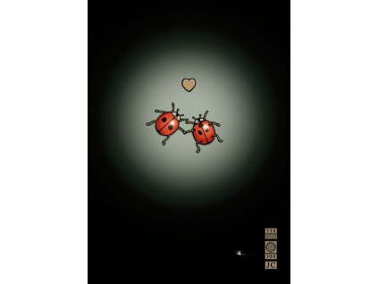 m070 ladybirds in love