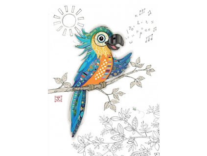 G035 Percy Parrot