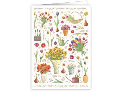 tulips 3295
