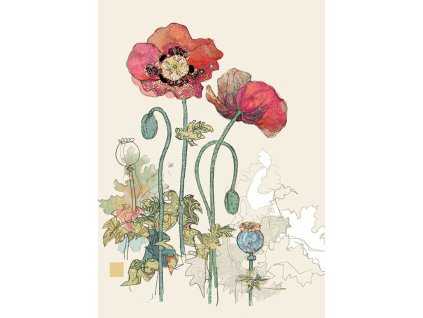 B015 Two Red Poppies 1