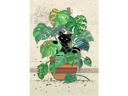 H038 Monstera Kitty (1)