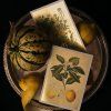 Návrh bez názvu (8)