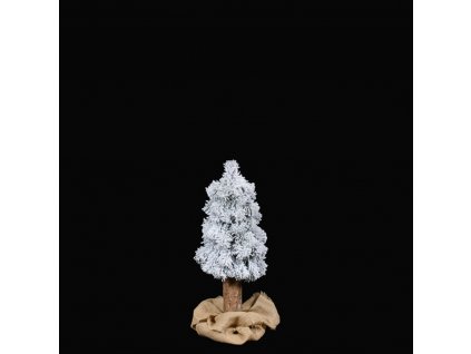 Stromček vianočný - Smrek horský, zasnežený 70 cm
