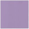 Obrúsky PAW AIRLAID 40x40 cm Monocolor Violet