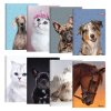 Zošit A5, linajkový 544, 40 listový, Exclusive "Cute Animals"