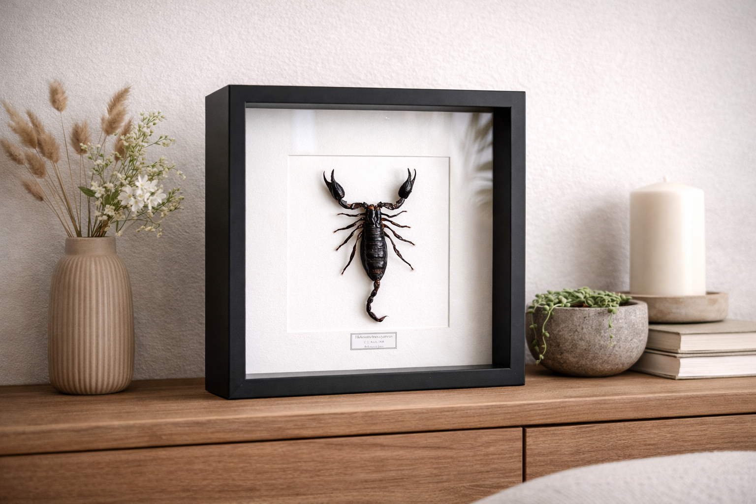 1E48483D-EAF8-4509-AAB7-EA2093567A4C