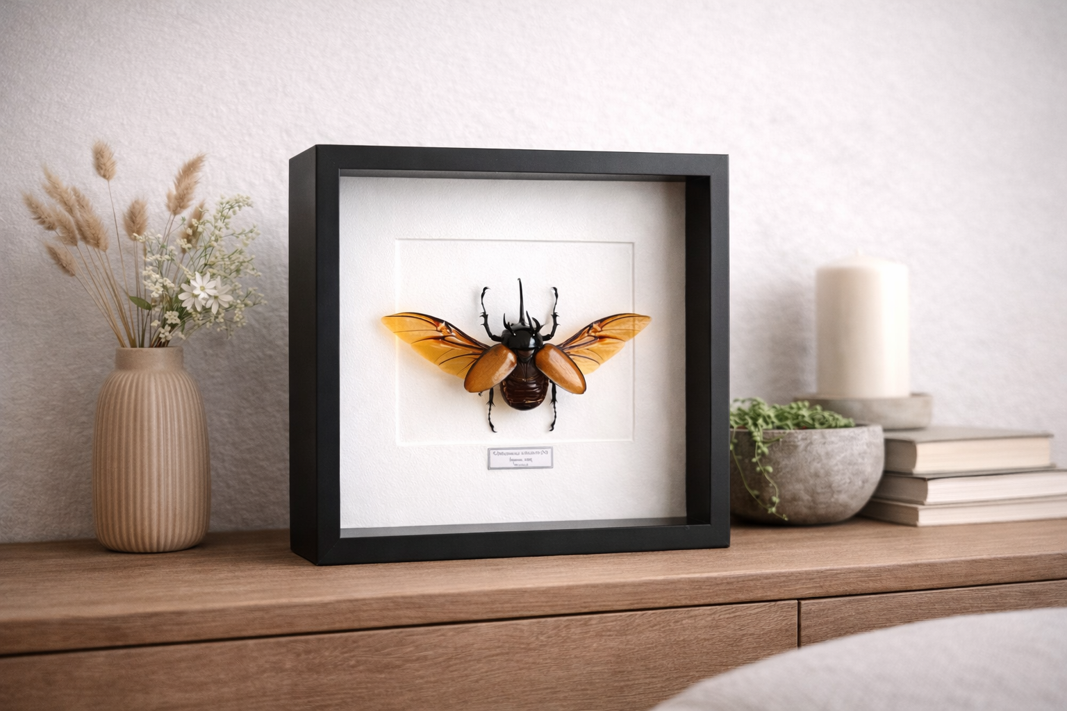 2A0B386C-6793-4EF8-BB9E-EE2712C43686