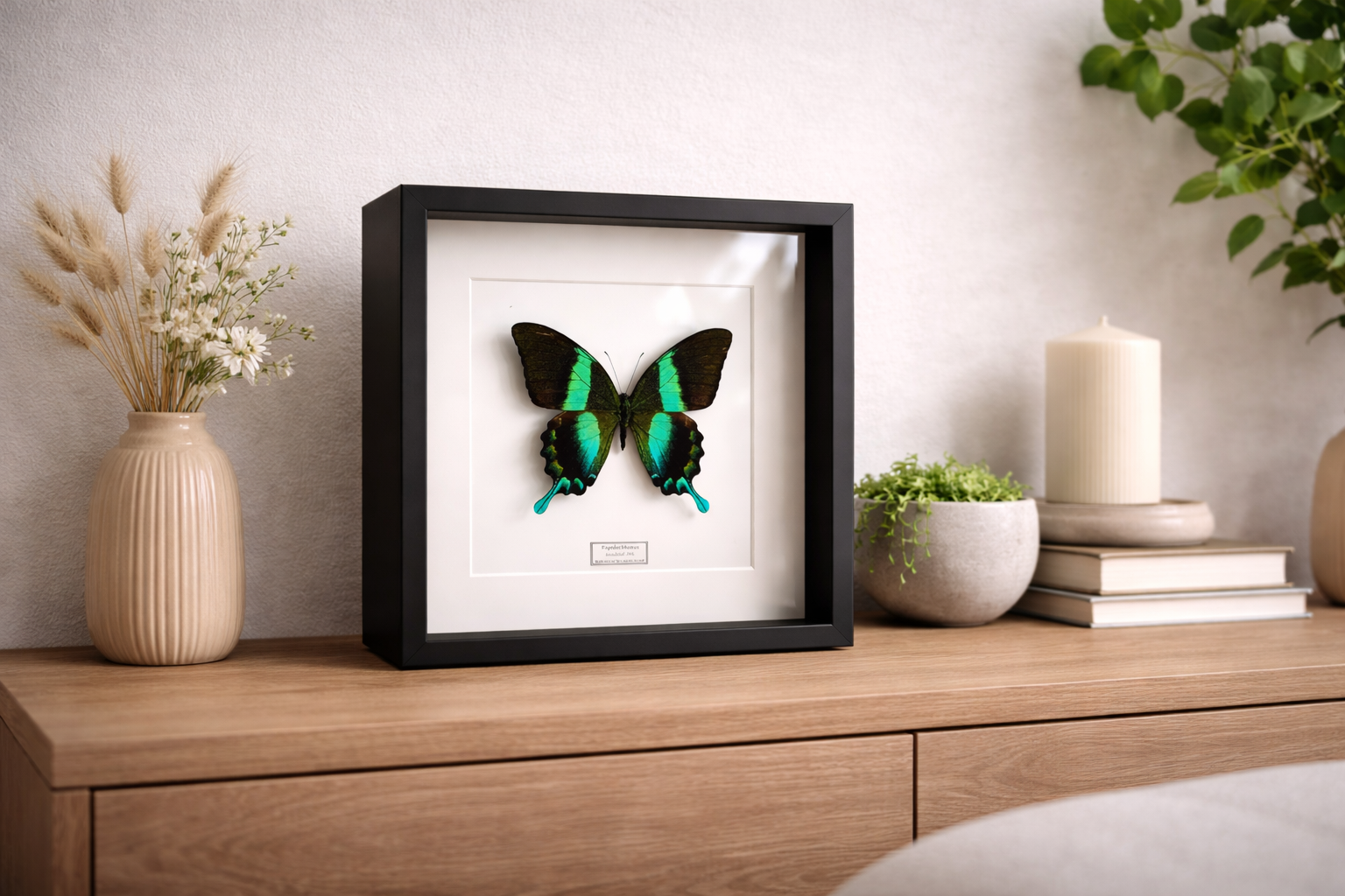 39EC54C0-FC8B-4A8B-B3A6-5F18AE5EC55C