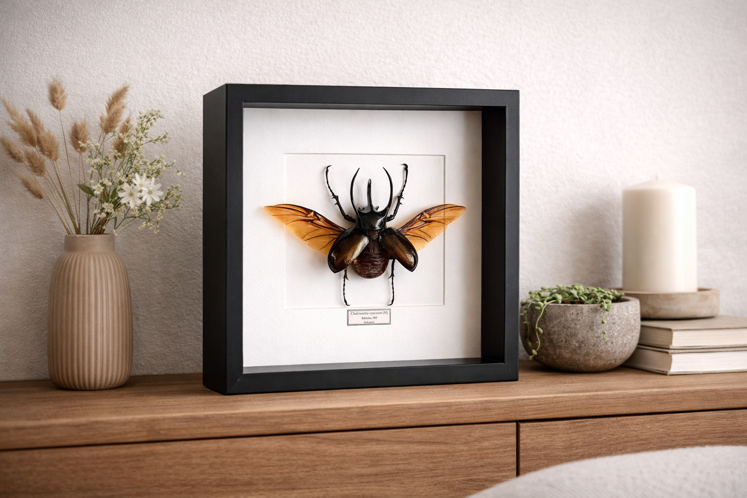 65A0839D-0B62-454C-A2D6-E0BC5290EAD4