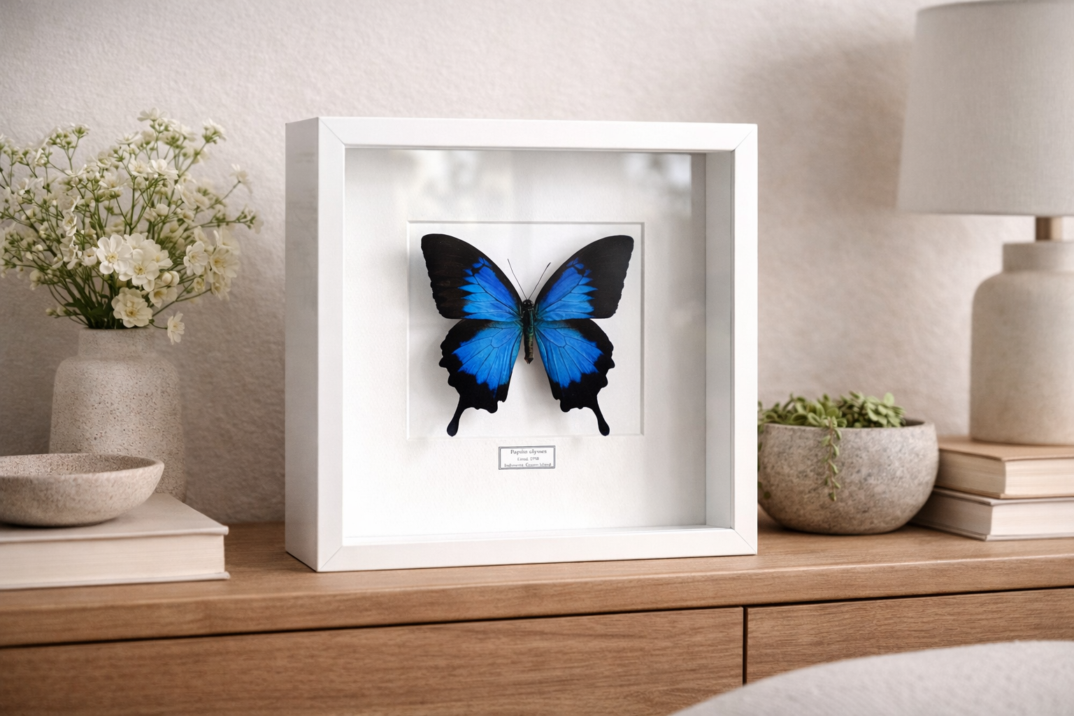 78B9AFDB-04E4-455D-871B-EC22F28E7B52