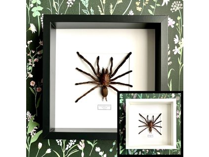 Dizajn bez názvu.zip 3