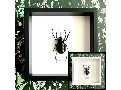 Dizajn bez názvu.zip 7