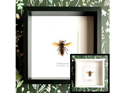 Dizajn bez názvu.zip 17