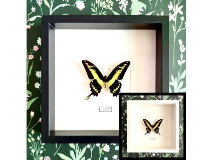 Dizajn bez názvu.zip 27