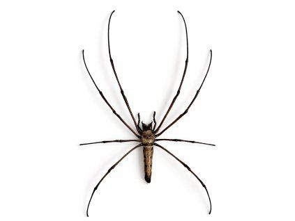 13AD991B 7641 4808 807C 0F1BD33BBF95