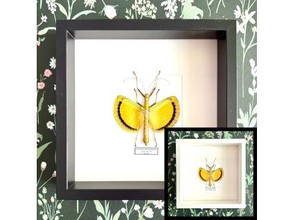 Dizajn bez názvu.zip 29