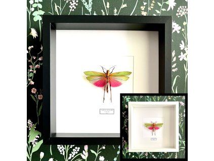 Dizajn bez názvu.zip 21