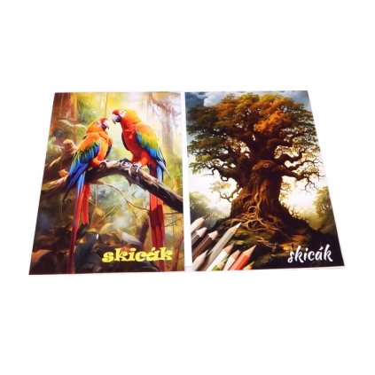 Skicák A4 20 listů barevná tit.str.