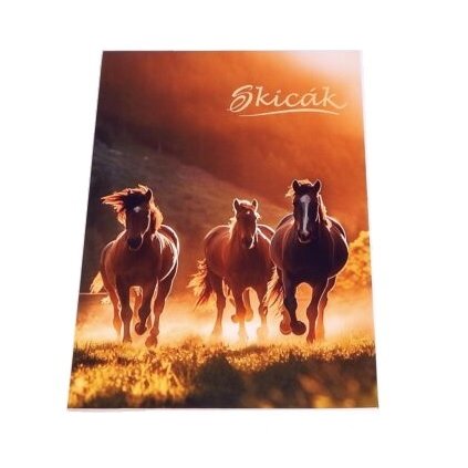 Skicák A5 20 listů barevná tit.str.