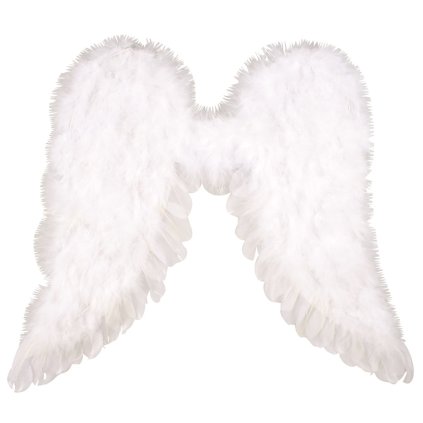 Andělská křídla 50 x 50 cm