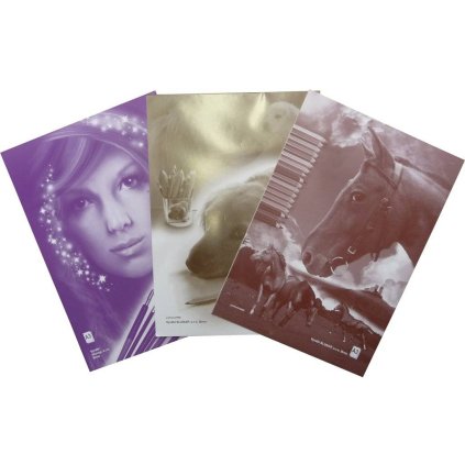 Skicák A3 10 listů jednobarevná tit.str.