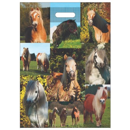 7725 taska kone s pruhmatem