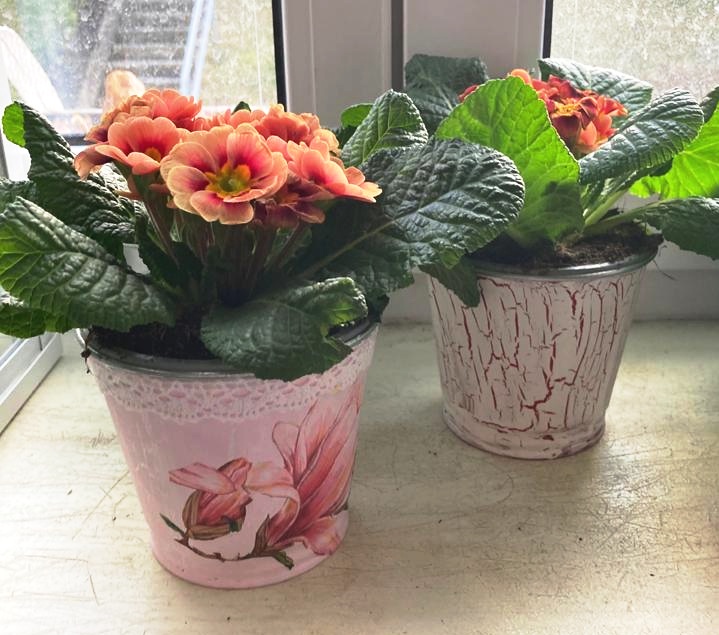 Jak si s pomocí techniky decoupage vytvořit krásné květináče