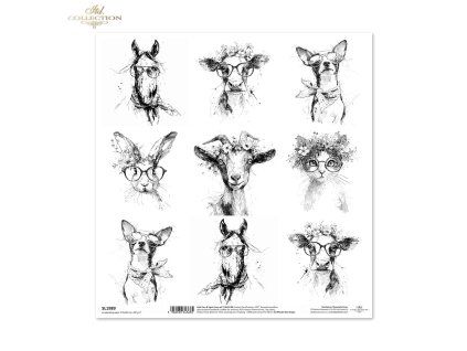 6471f87dc1bb68e335595a8bd65d7783