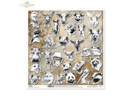 ab50386ce9bfc5ad3e86f6bddcae1df8 (1)