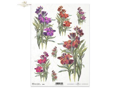 172c558407fca3b10e8bc9ec69e0205e