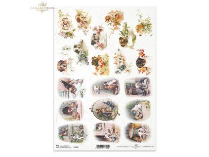 8cc00bbe3be264de80e2e5380744b7ab