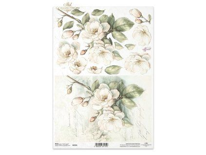 8a1854af5049996bbaf018d07bb6b628