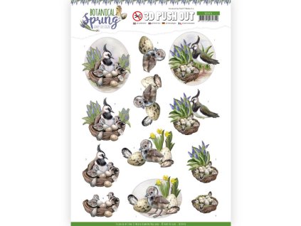 3D Výřezy Botanical Spring Čejka chocholatá