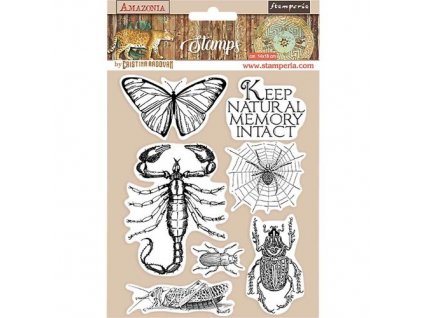 WTKCC193 Stamperia Rubber Stamp Amazonia Butterfly m