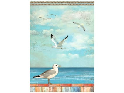 stamperia blue dream a4 rice paper seagulls 6 pcs