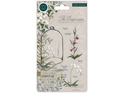 craft consortium the emporium botany clear stamps