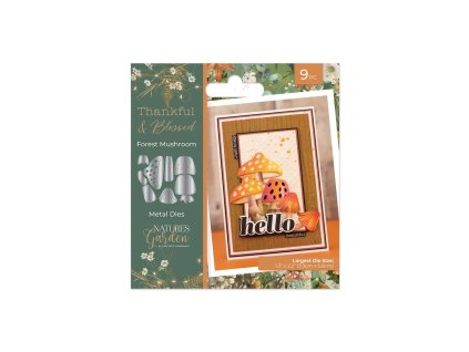crafters companion thankful blessed metal die fore 3 11zon