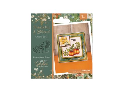 crafters companion thankful blessed clear stamp pu