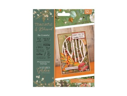 crafters companion thankful blessed clear stamp be 8 11zon