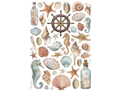 stamperia shells a4 rice paper 6pcs dfsa4998 5 11zon