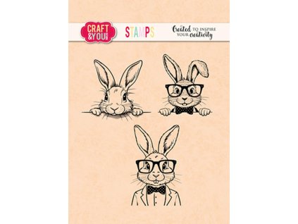 craft you design funny bunnies set stamps cyd cs04 33 11zon