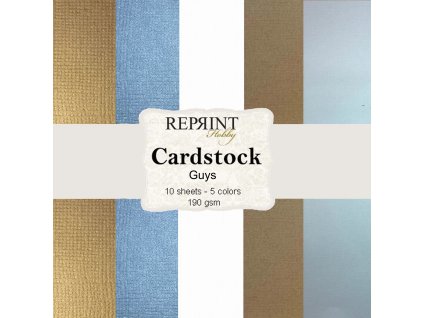 reprint guys 12x12 inch cardstock csp026 2 11zon