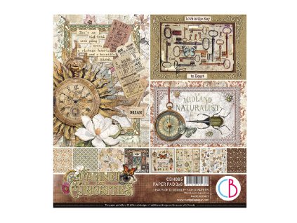 Sada oboustranných papírů Cabinet of curiosities Pad 20x20 cm 12 ks