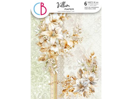 Sada papírů Ciao Bella Blessing day Vellum Paper Patterns A4