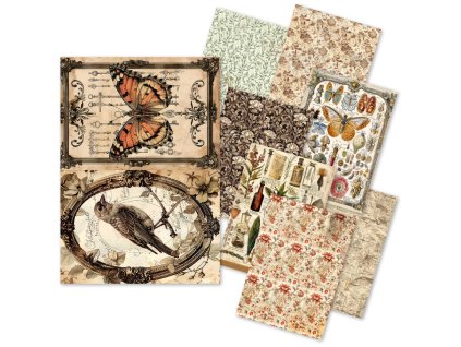 ciao bella cabinet of curiosities a5 rice paper mi 9 11zon