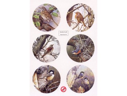 Stansvel Woc 25 copy 700x991